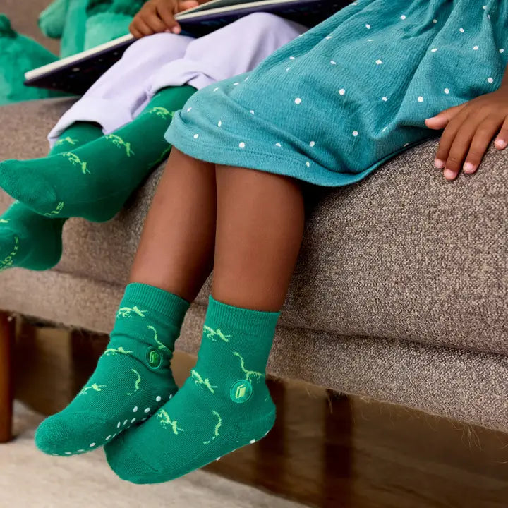 Kids Socks That Provide Books - Dinosaurs