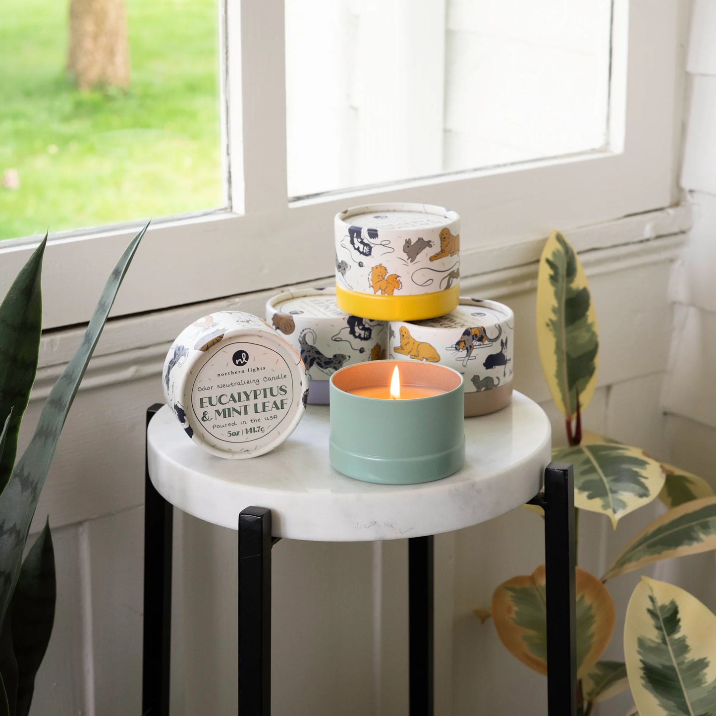 Cedarwood & Birch Odor Masking Candle