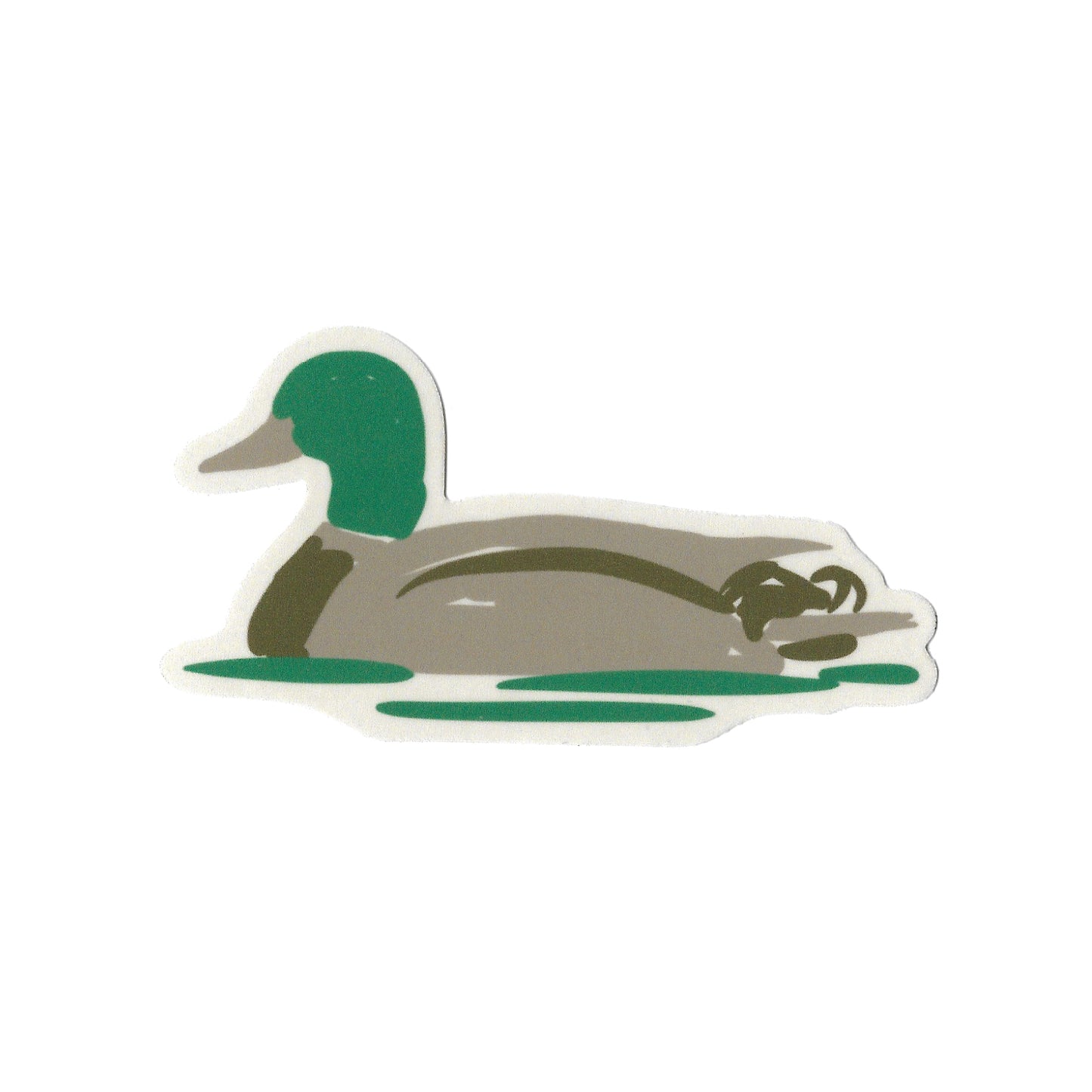 Mallard Duck Sticker