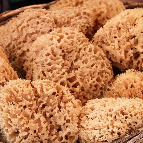 Natural Sea Wool Sponge