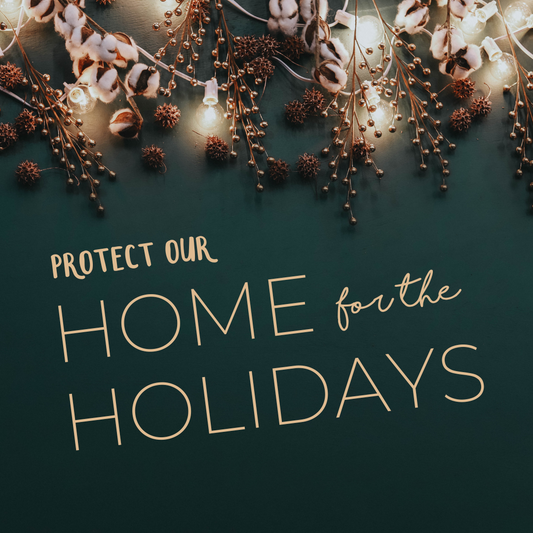 Protect Our Home for the Holidays!