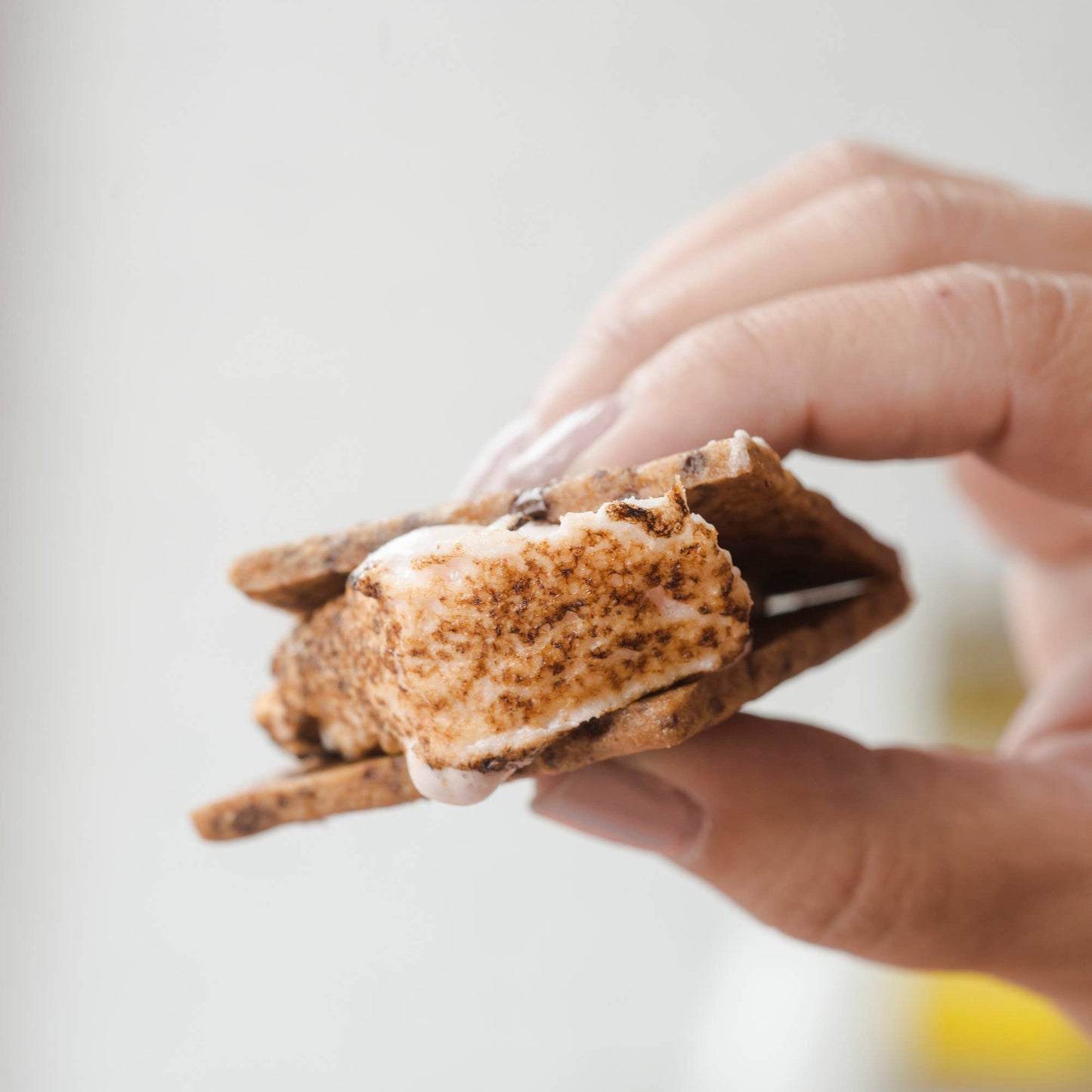 Chocolate Chip Graham Crackers