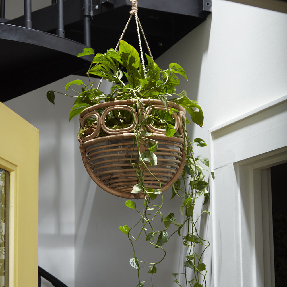 Ordesa Round Hanging Basket
