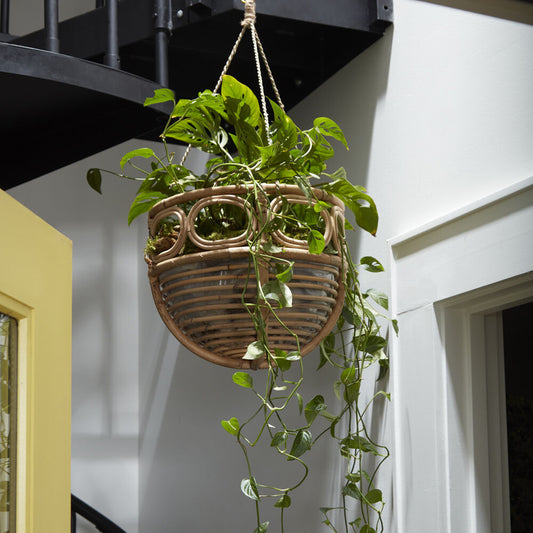 Ordesa Round Hanging Basket