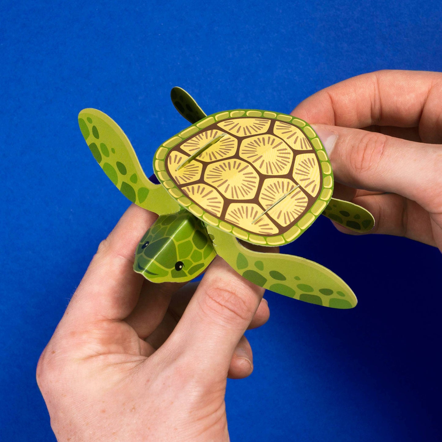 DIY Tiny Turtle