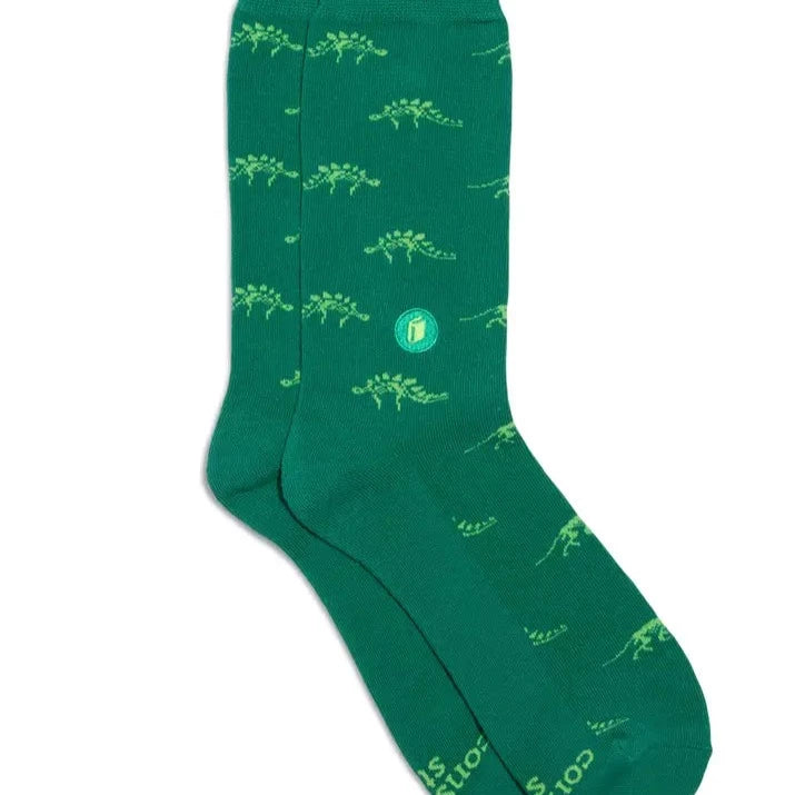 Stegosaurus Socks That Give Books