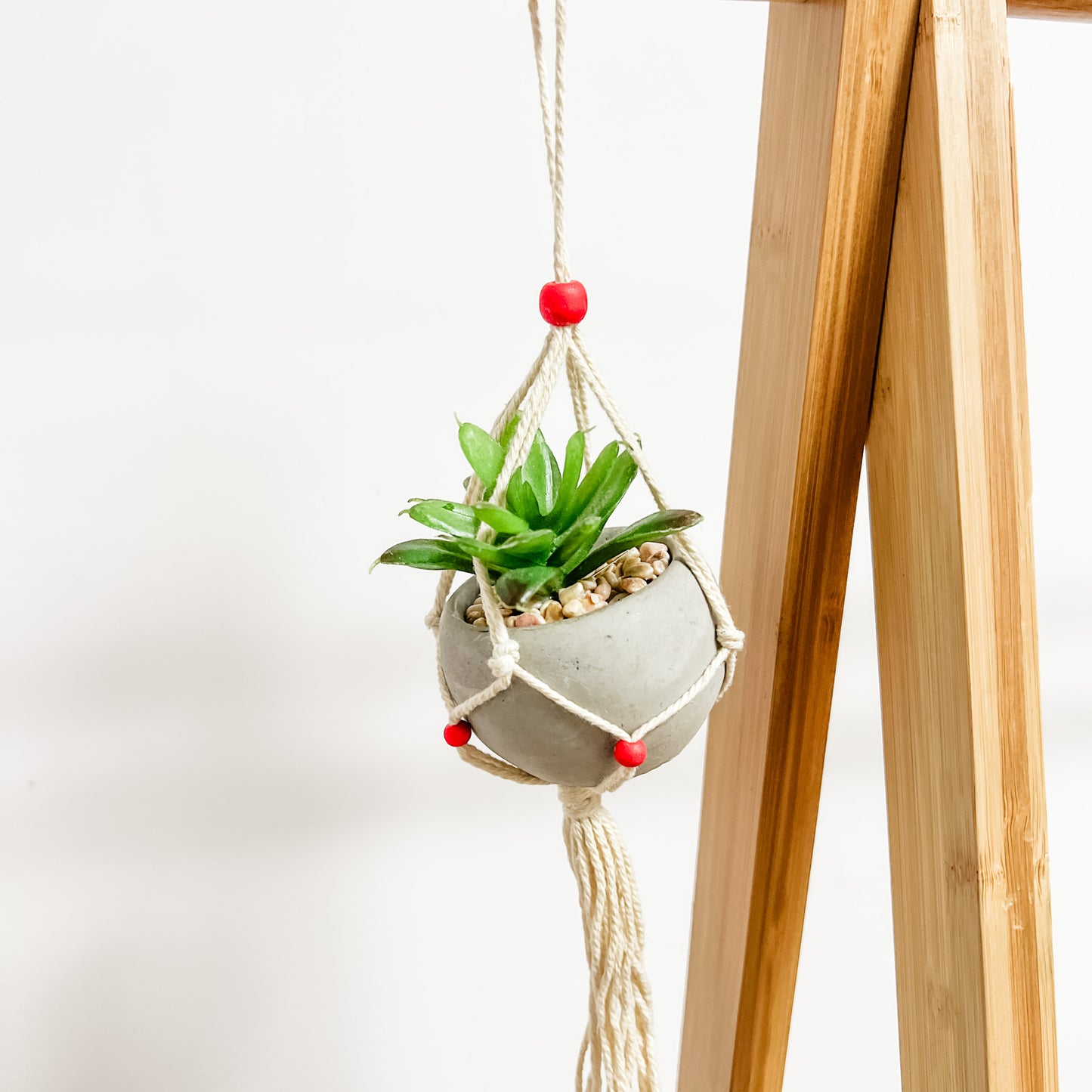 Hanging Plant Ornament