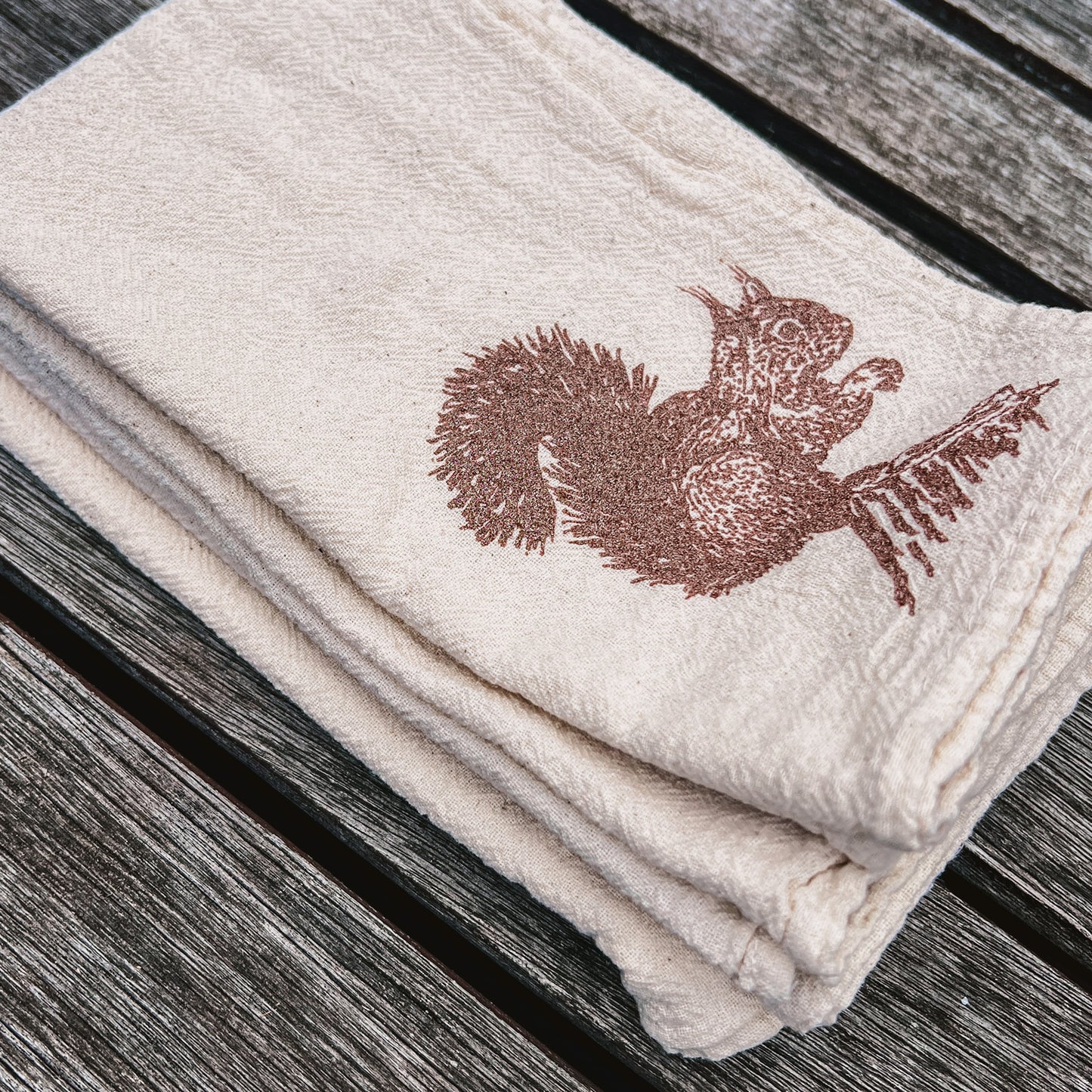 Red Squirrel Cloth Napkins - set of 4