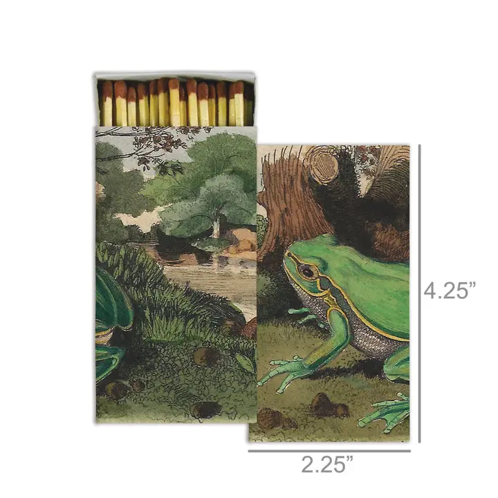 Landscape with Frog Matches