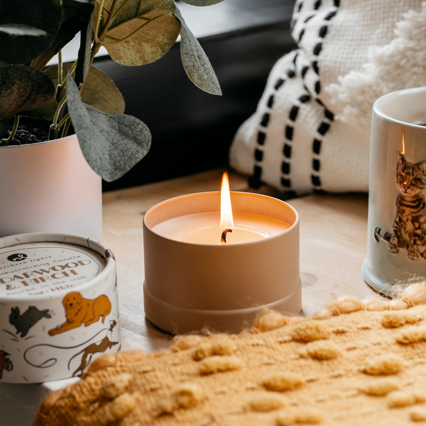 Cedarwood & Birch Odor Masking Candle