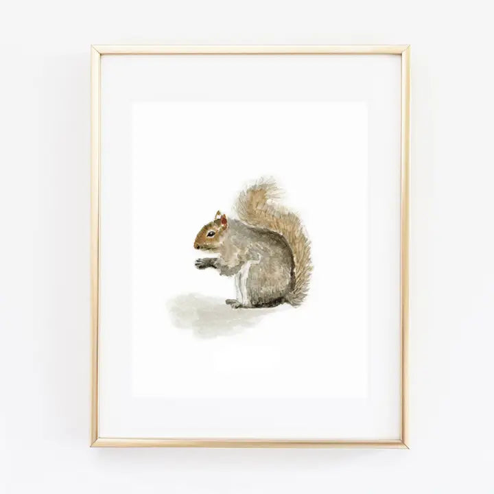 Squirrel Art Print