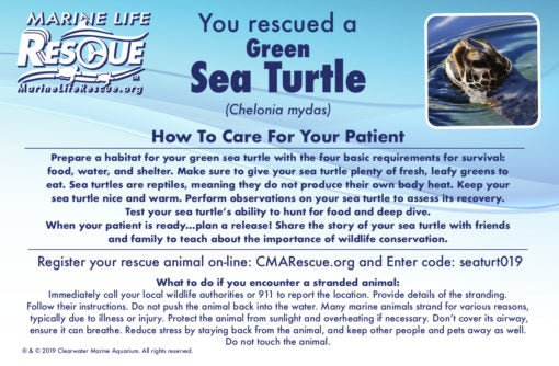 Rescue Sea Turtle Plushie