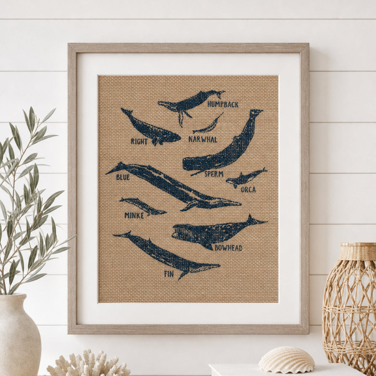 Whale Species 8x10 Burlap Art Print
