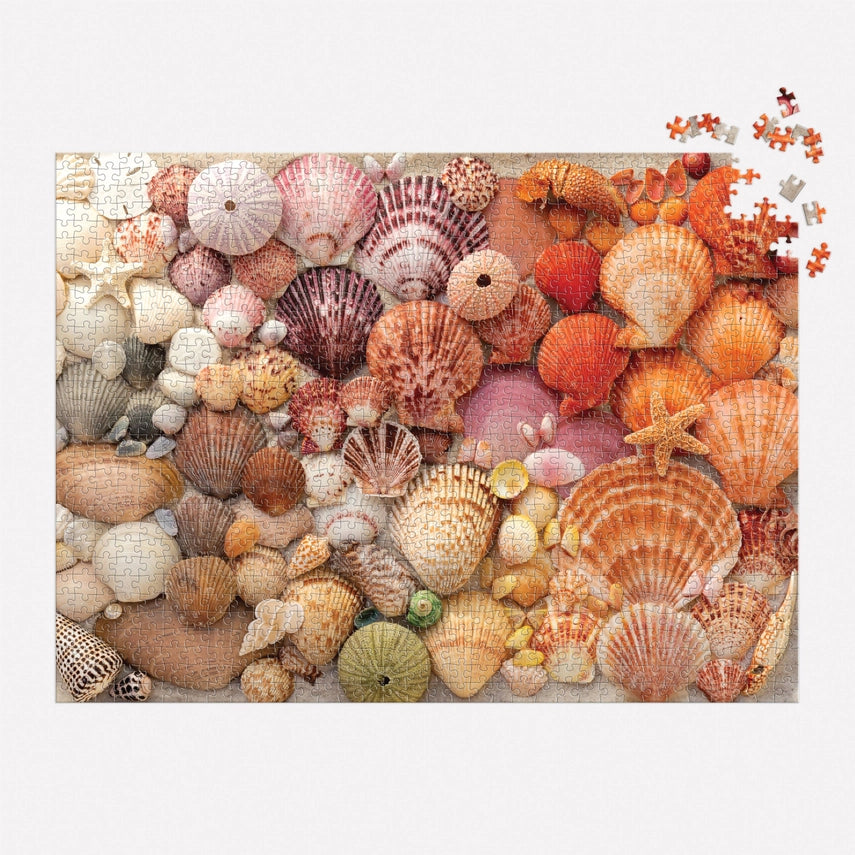 Vibrant Seashells  Puzzle