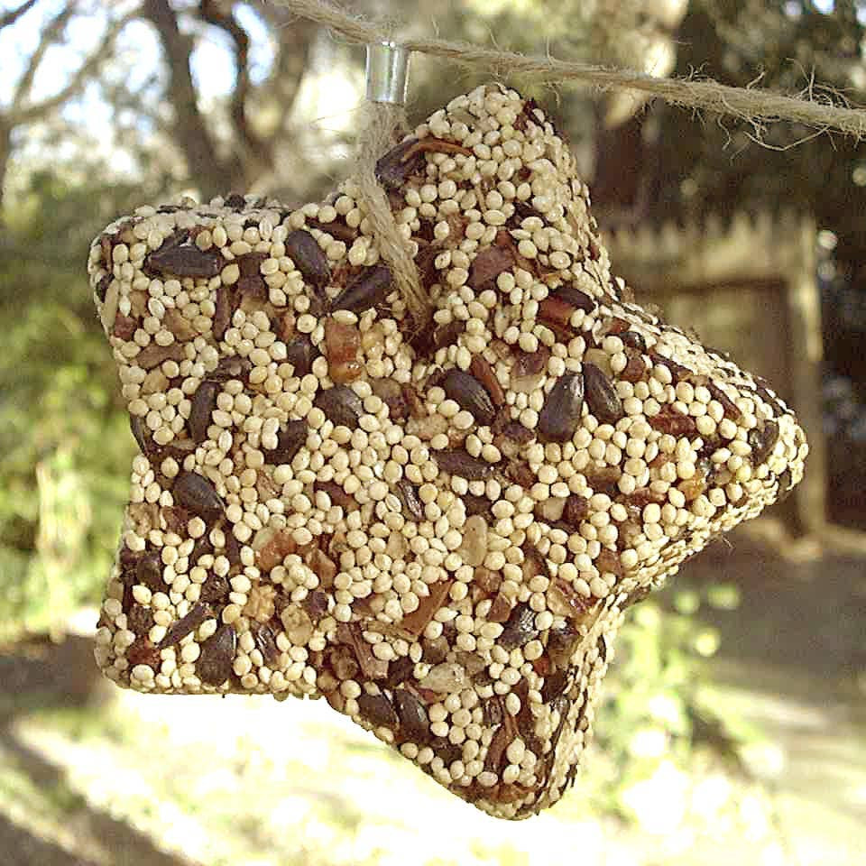 Birdseed Star