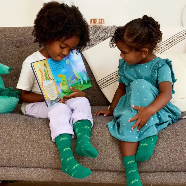 Kids Socks That Provide Books - Dinosaurs