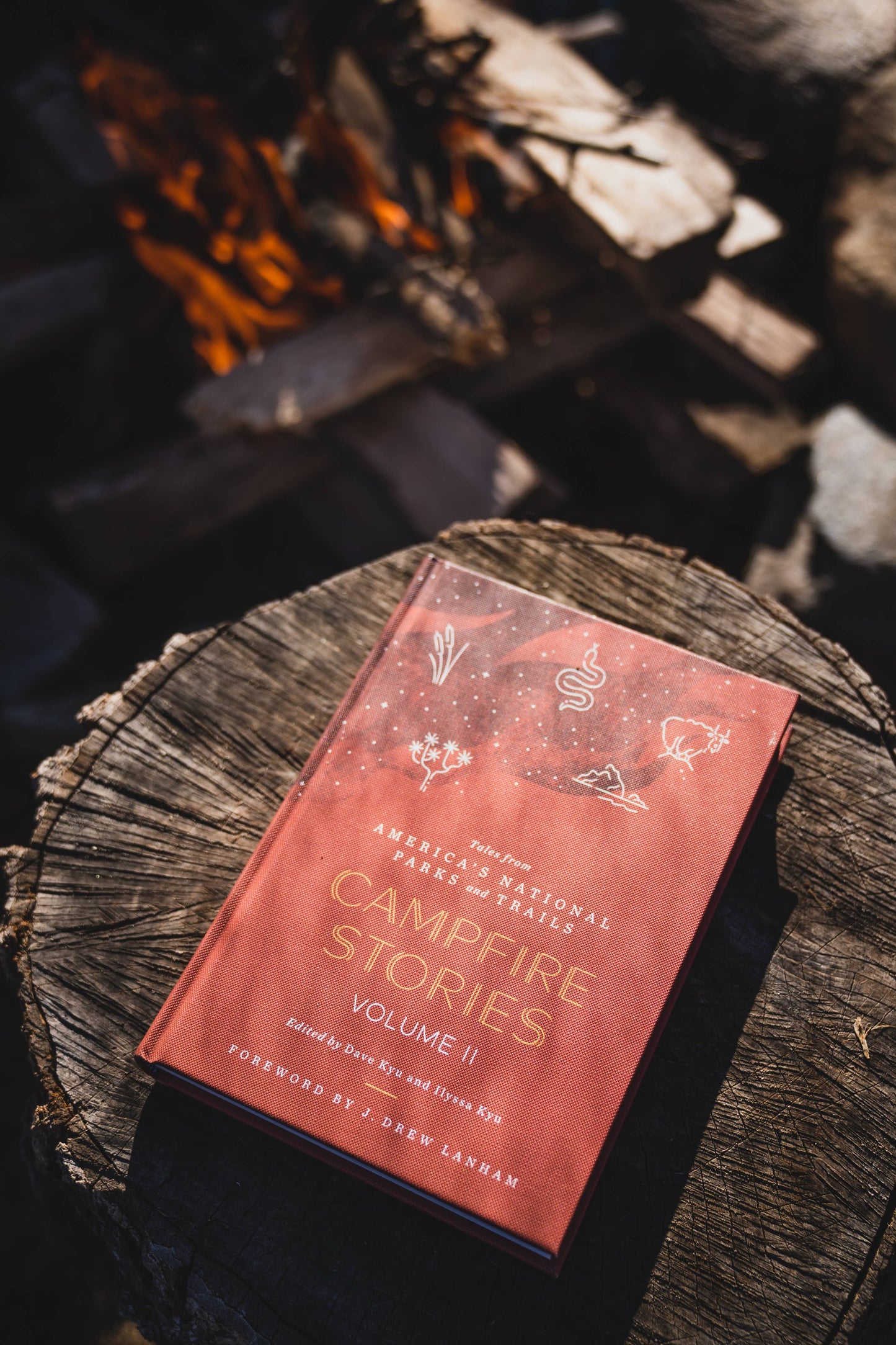 Campfire Stories Volume II