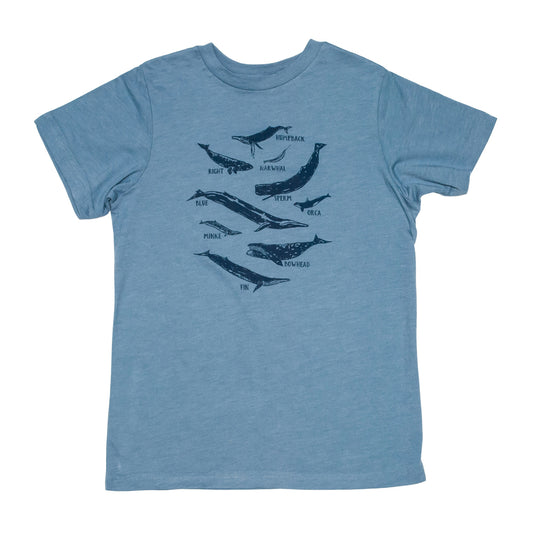 Whale Species Chart Kids Tee