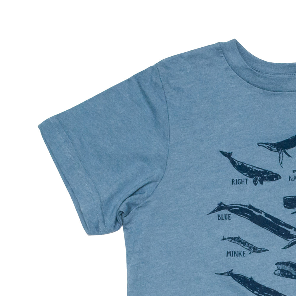 Whale Species Chart Kids Tee