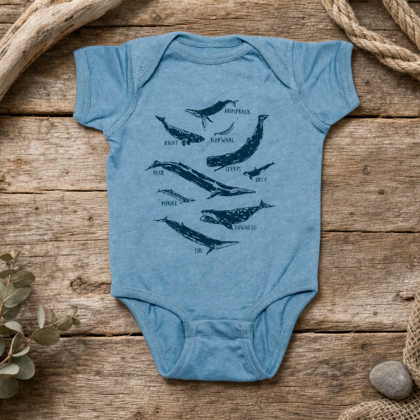 Whale Species Chart Onesie