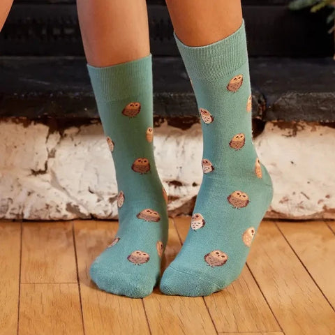 Socks that Save Owls