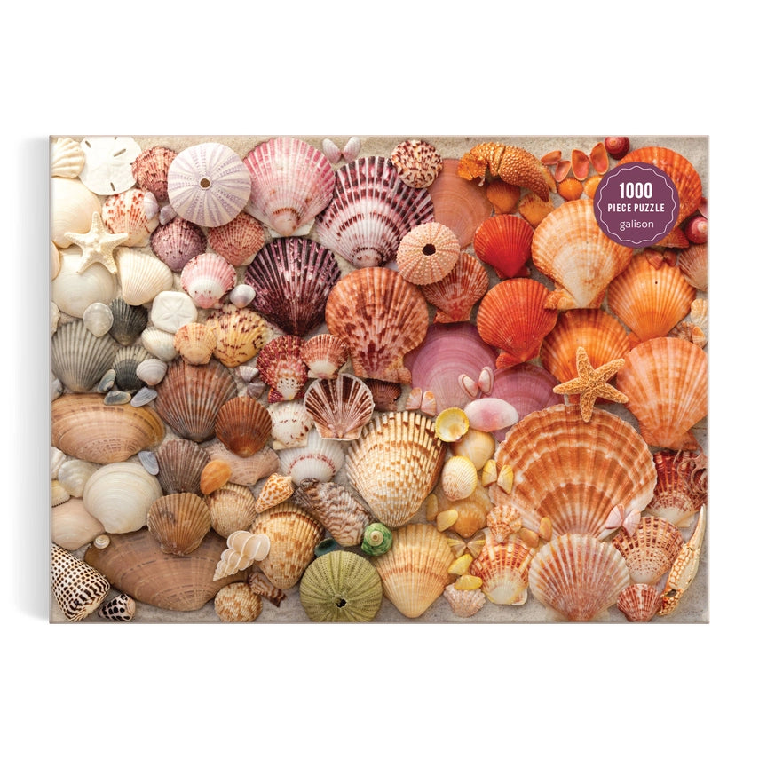 Vibrant Seashells  Puzzle