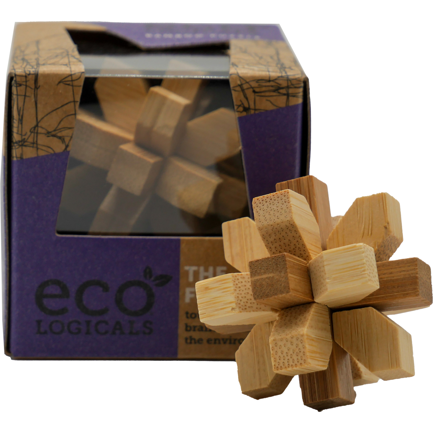 Project Genius Eco Puzzle