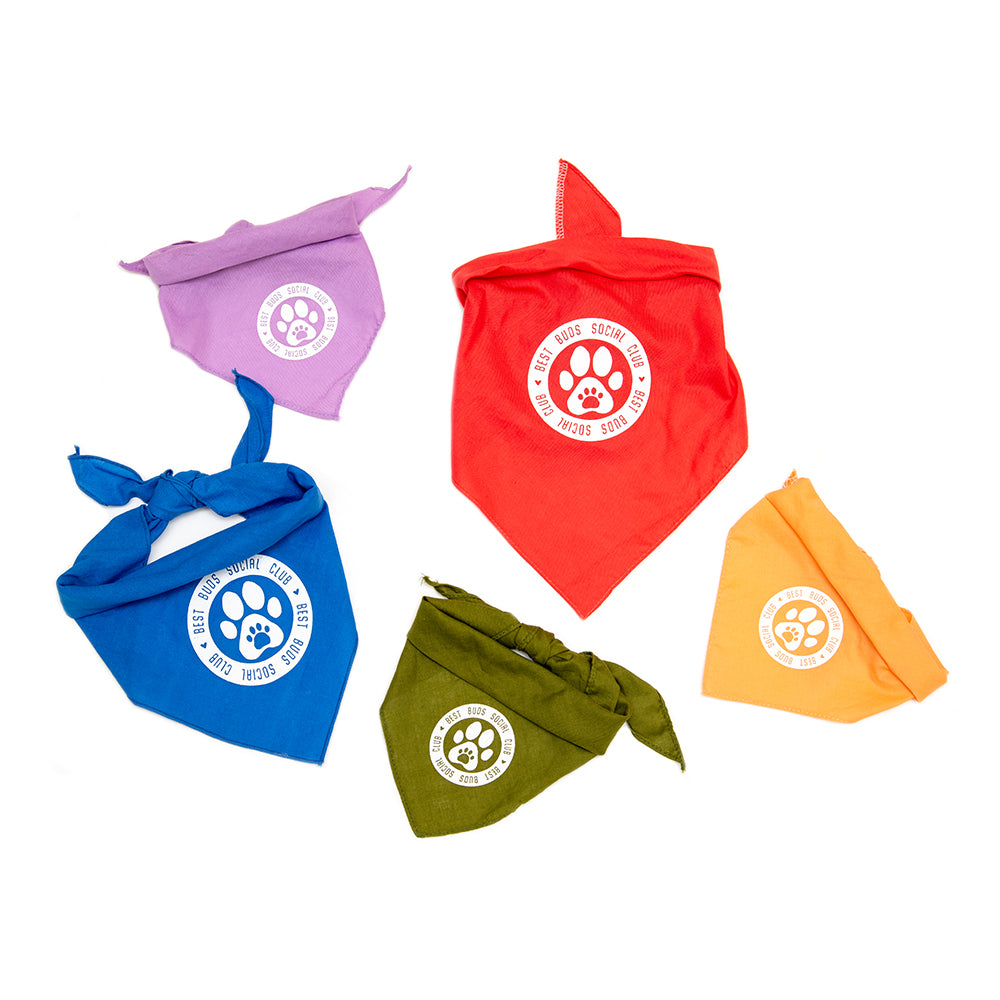 Best Buds Social Club Pet Bandana - Small