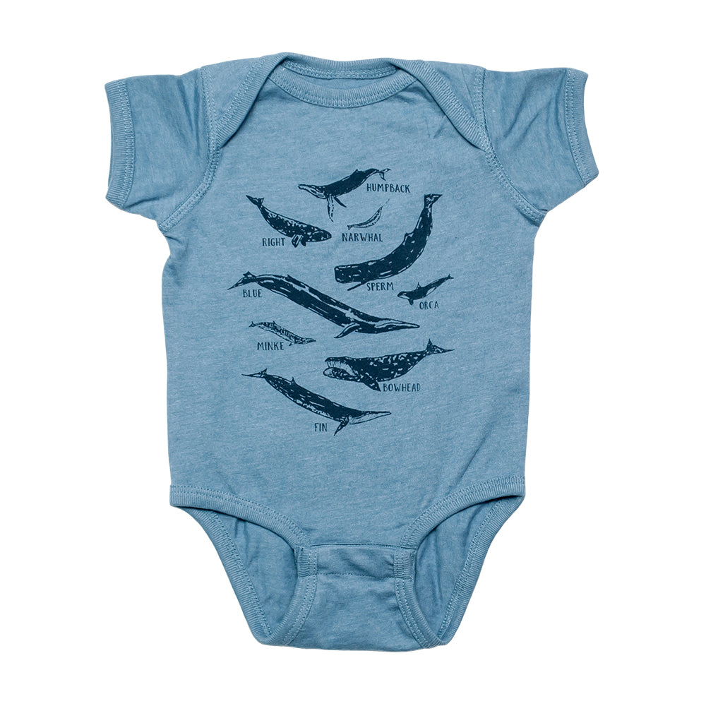 Whale Species Chart Onesie