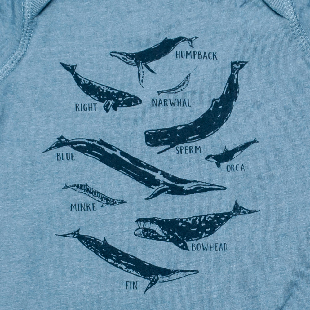 Whale Species Chart Onesie