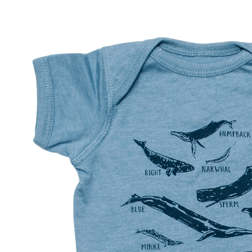 Whale Species Chart Onesie