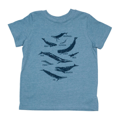 Whale Species Chart Toddler Tee