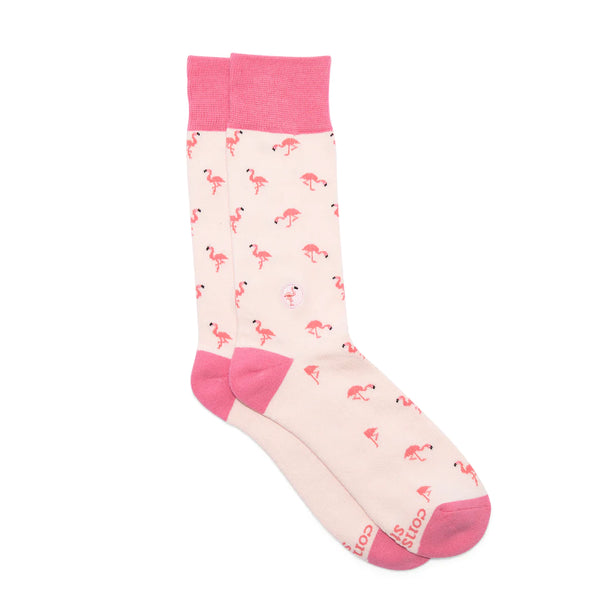 Socks that Protect Flamingos